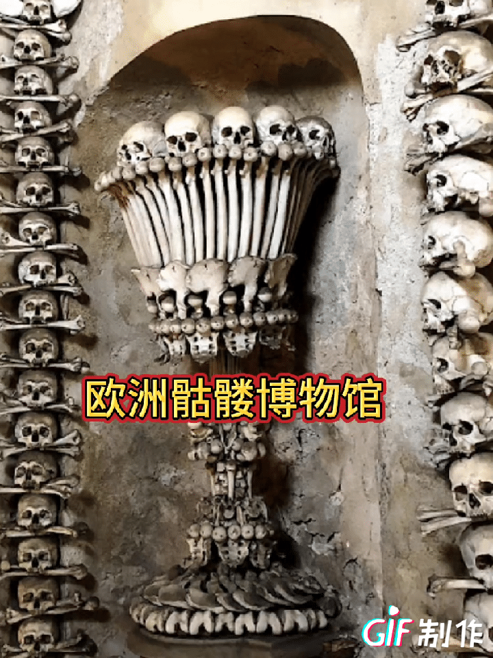 欧洲教堂里的白骨经过AI辨认，得出了一个惊人结论，如果这个情况属实，希望中国考古