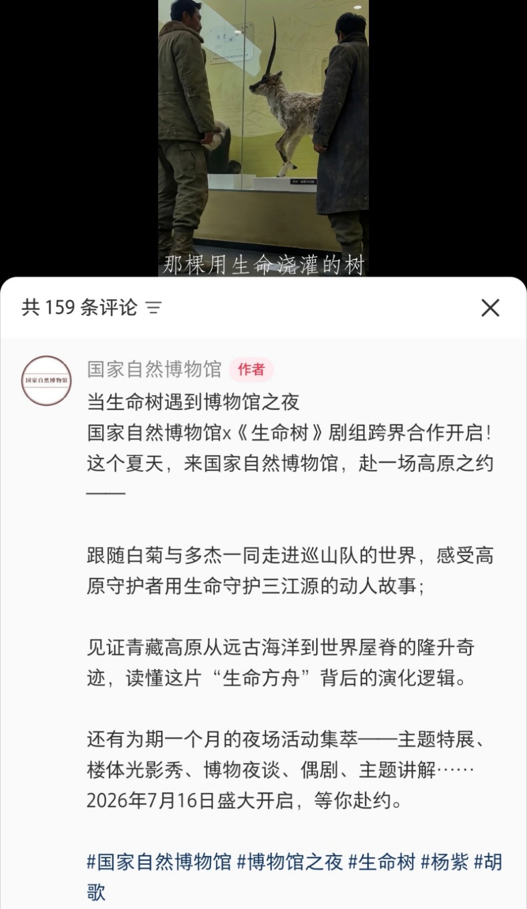 生命树进国家自然博物馆了！😭 