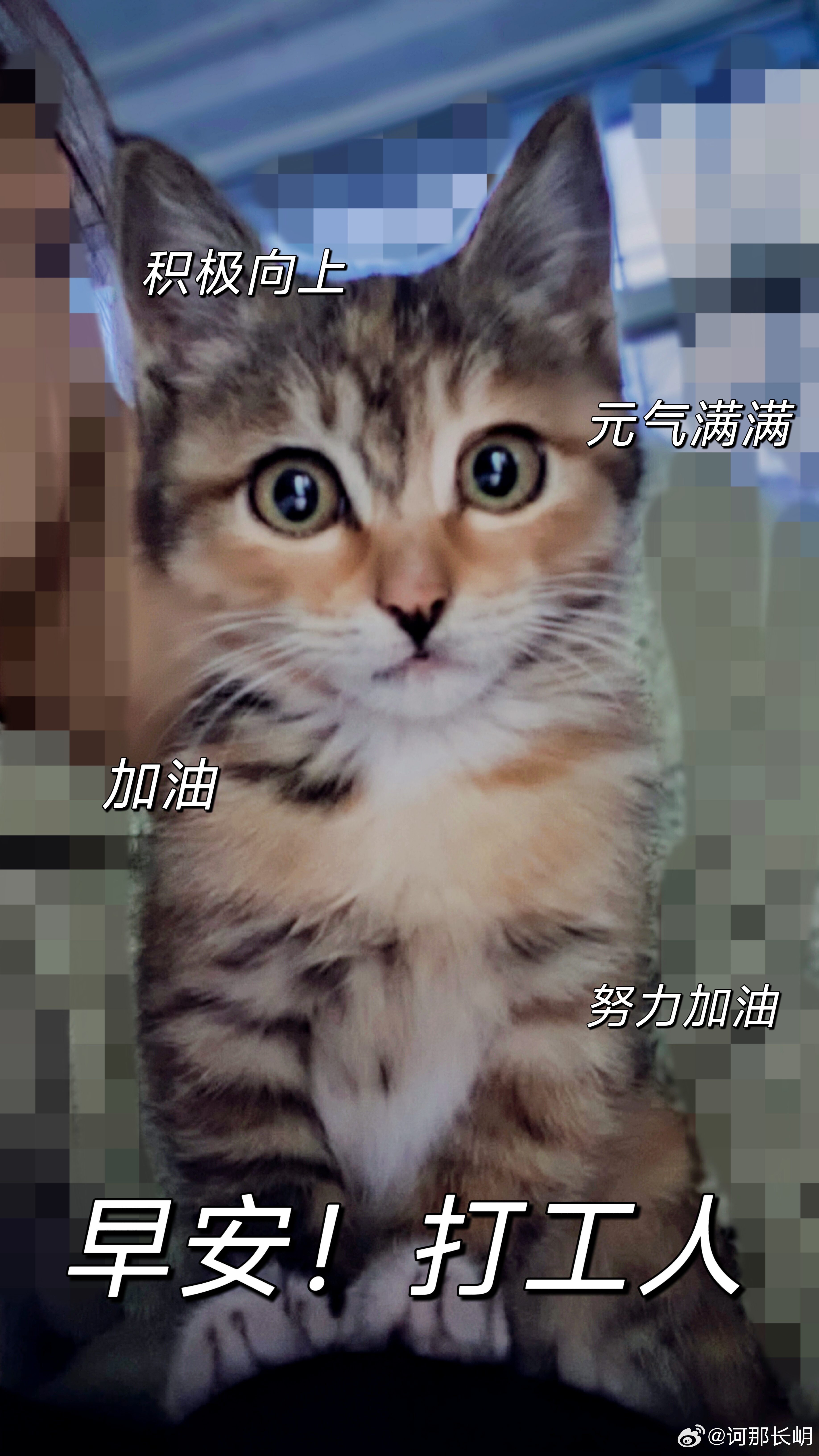 早安！愿你今天也像我的臭臭一样，眼神里有光，心里有热，脚步有方向。 ​​​