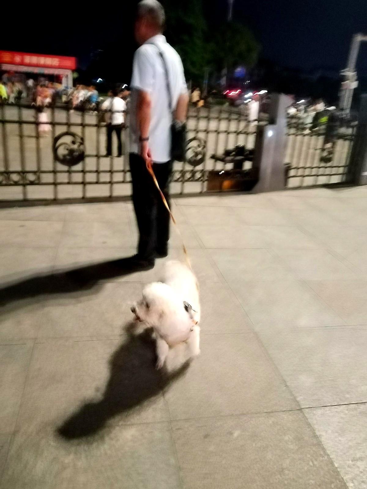 一张老网，兜住千年情

手机一刷就卡，消息全漏，老人最怕错过娃的语音。

谜底“