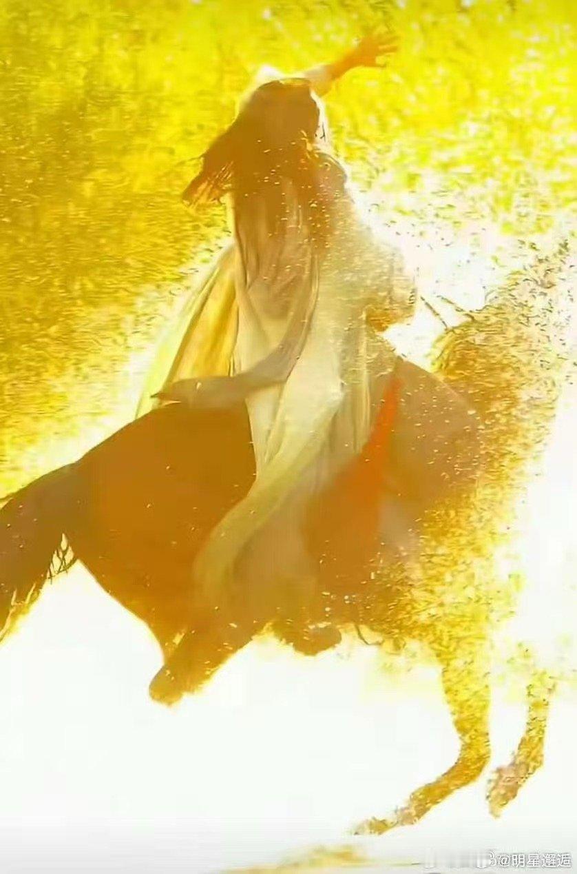 孙艺洲帮知世郎辟谣 被孙艺洲可爱到！亲自下场破除知世郎不会骑马的谣言，又搞笑又真