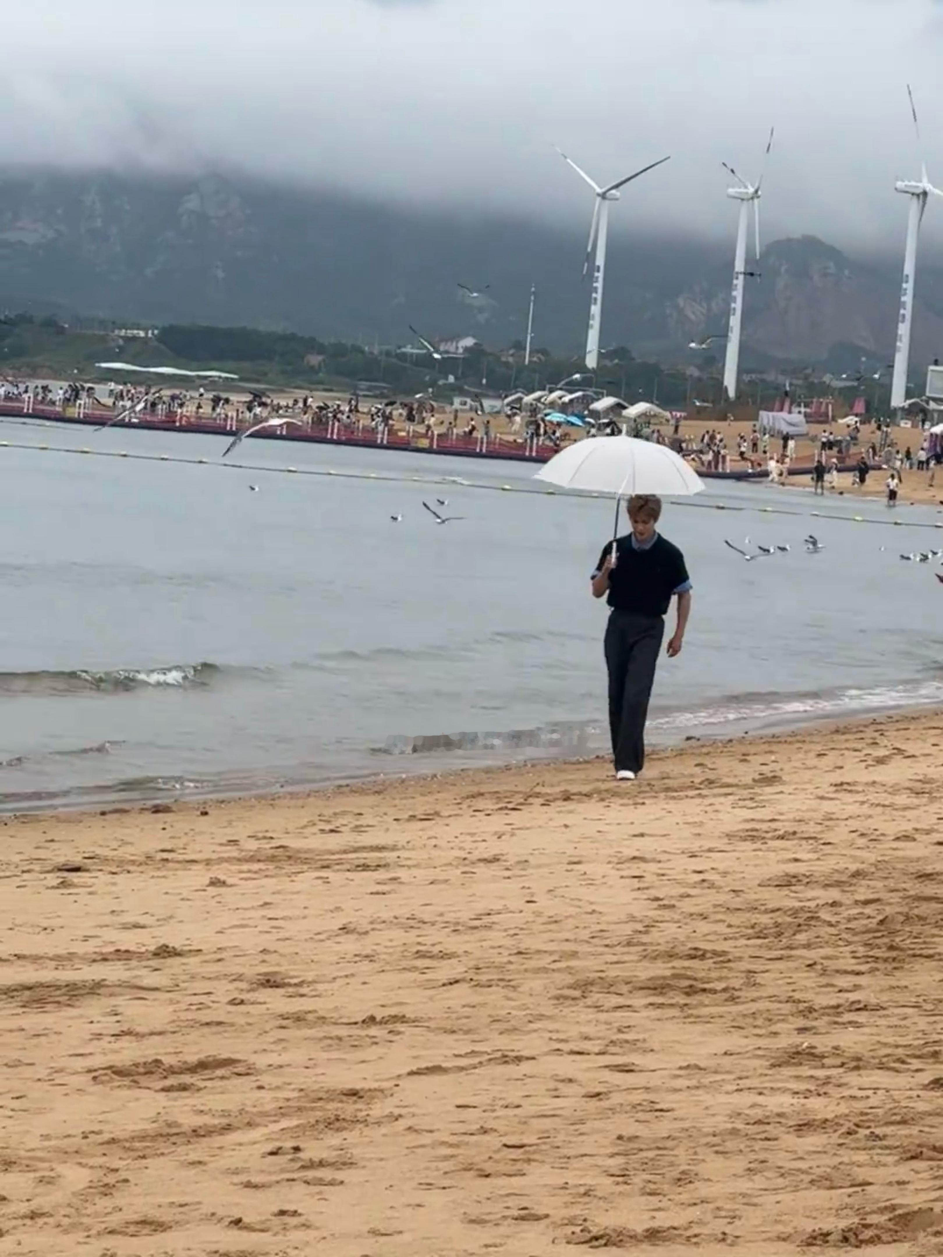 威海偶遇关晓彤李昀锐网友在威海看日出偶遇关晓彤李昀锐在录制耀眼团综，布鲁维斯沉船