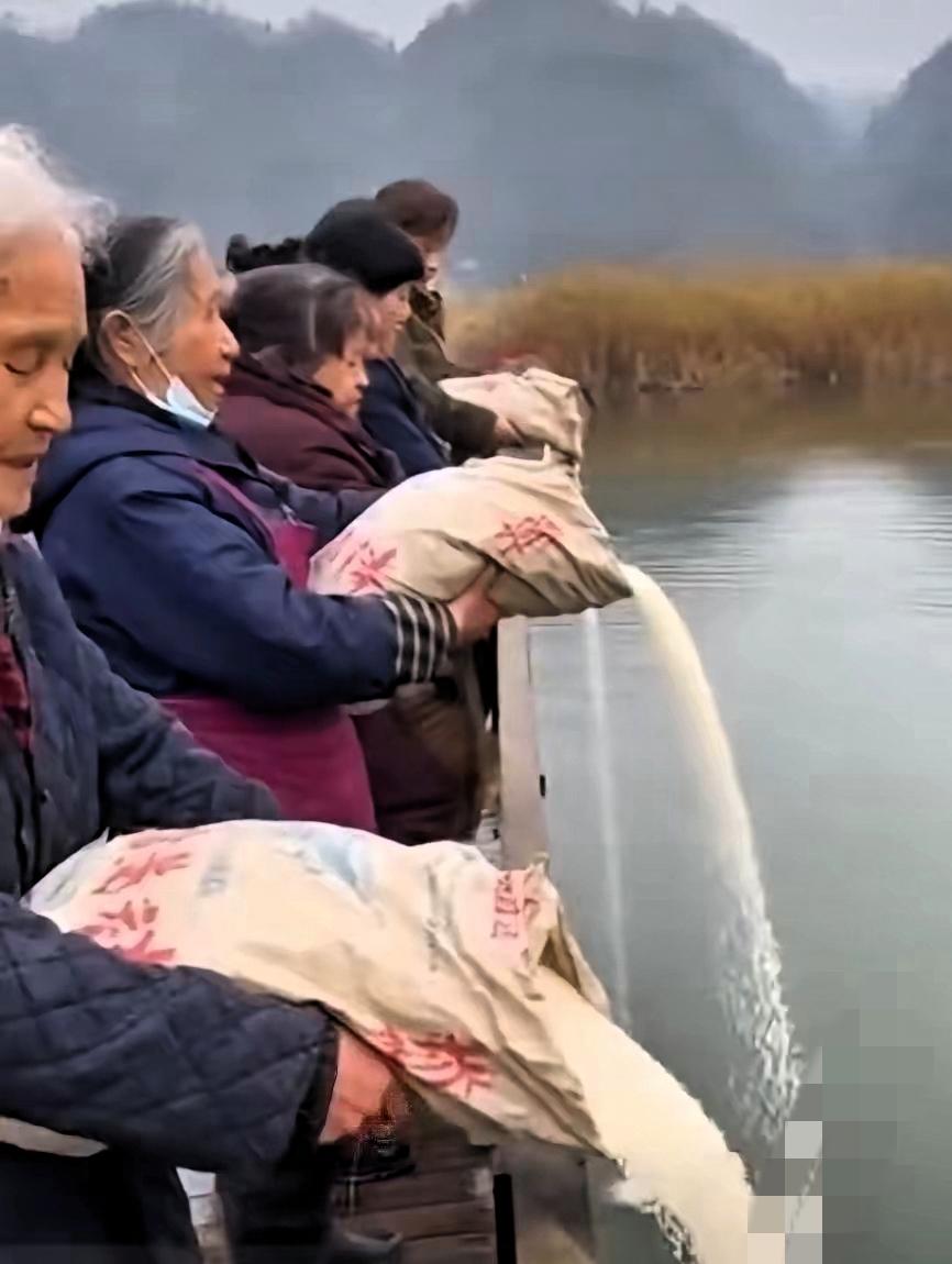 辽宁大妈海边倒整袋大米“放生”？这哪是行善，分明是闹剧！
 
真看傻了！辽宁一群
