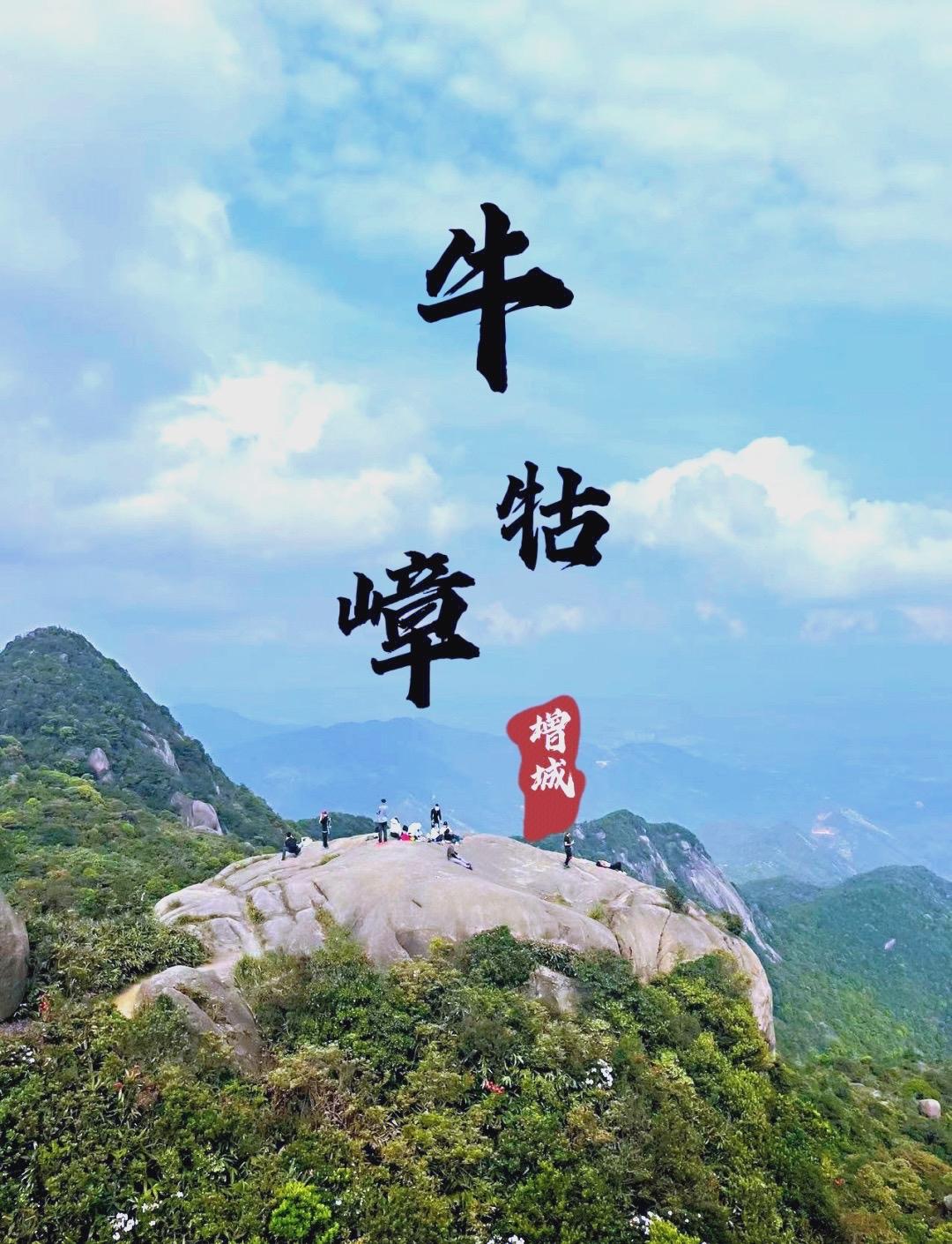 广州周边绝美秘境！牛牯嶂高山杜鹃全开了｜一日徒步+美食全攻略

春天不知道去哪？