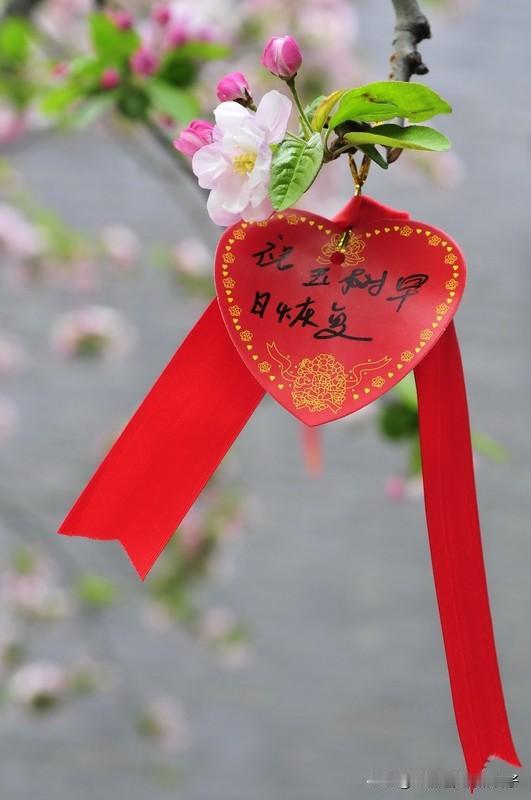 分享美好祝愿，是给生活添彩的魔法。新的一年，不必许遥不可及的愿，真诚就好。
可以