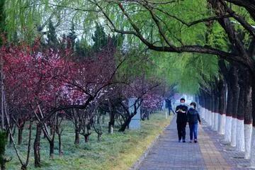 下联：翠柳红花唤春回
解析：“冰天雪地送冬去”着眼于冬天的离去。“翠柳红花唤春回