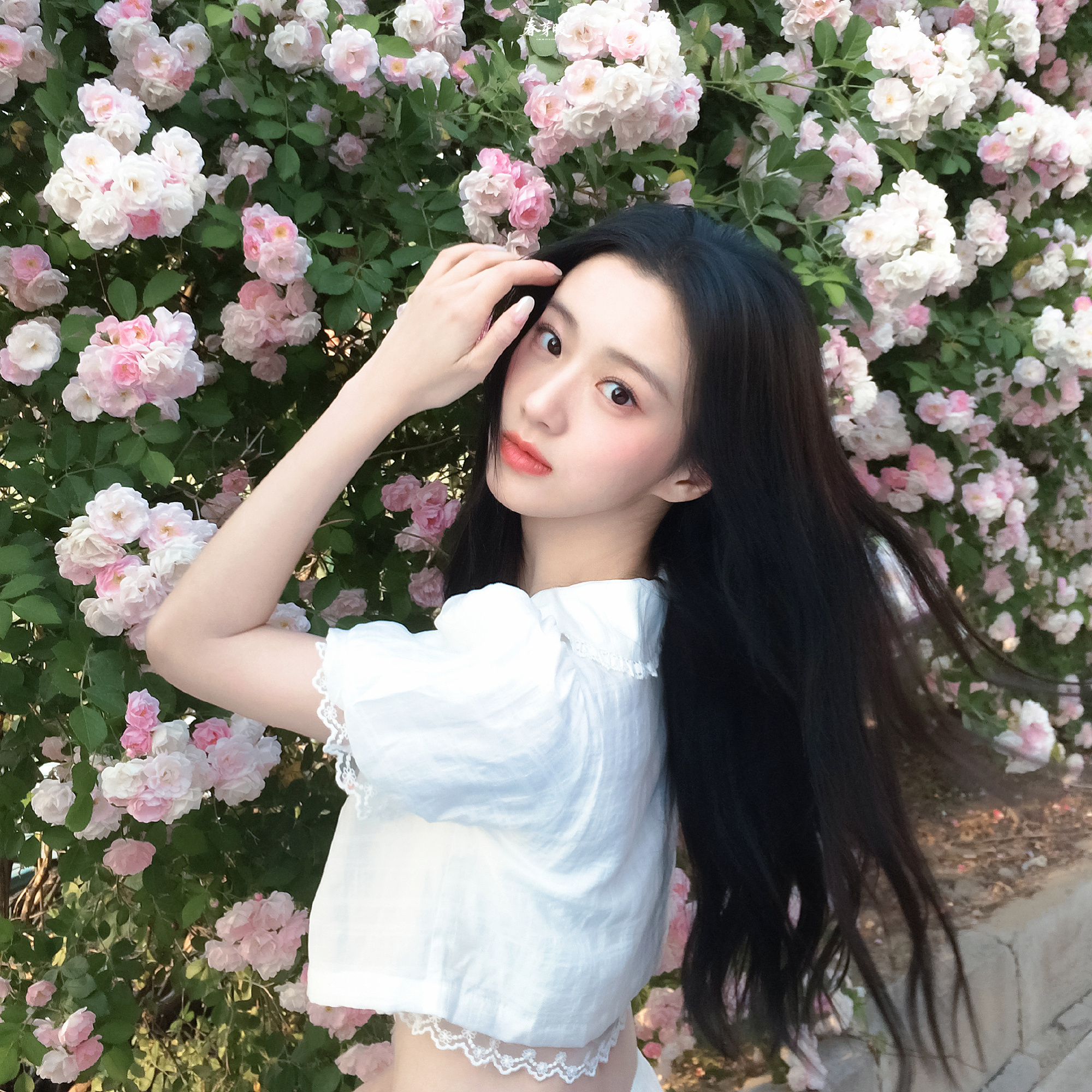 包上恩  💛 包上恩江湖夜雨十年灯 💛包上恩蔡昭和你在一起的每个瞬间 我都想