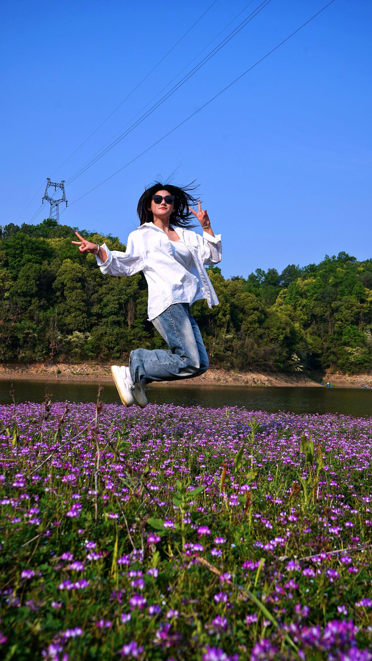 在这遇见紫色花海 紫云英 赤壁