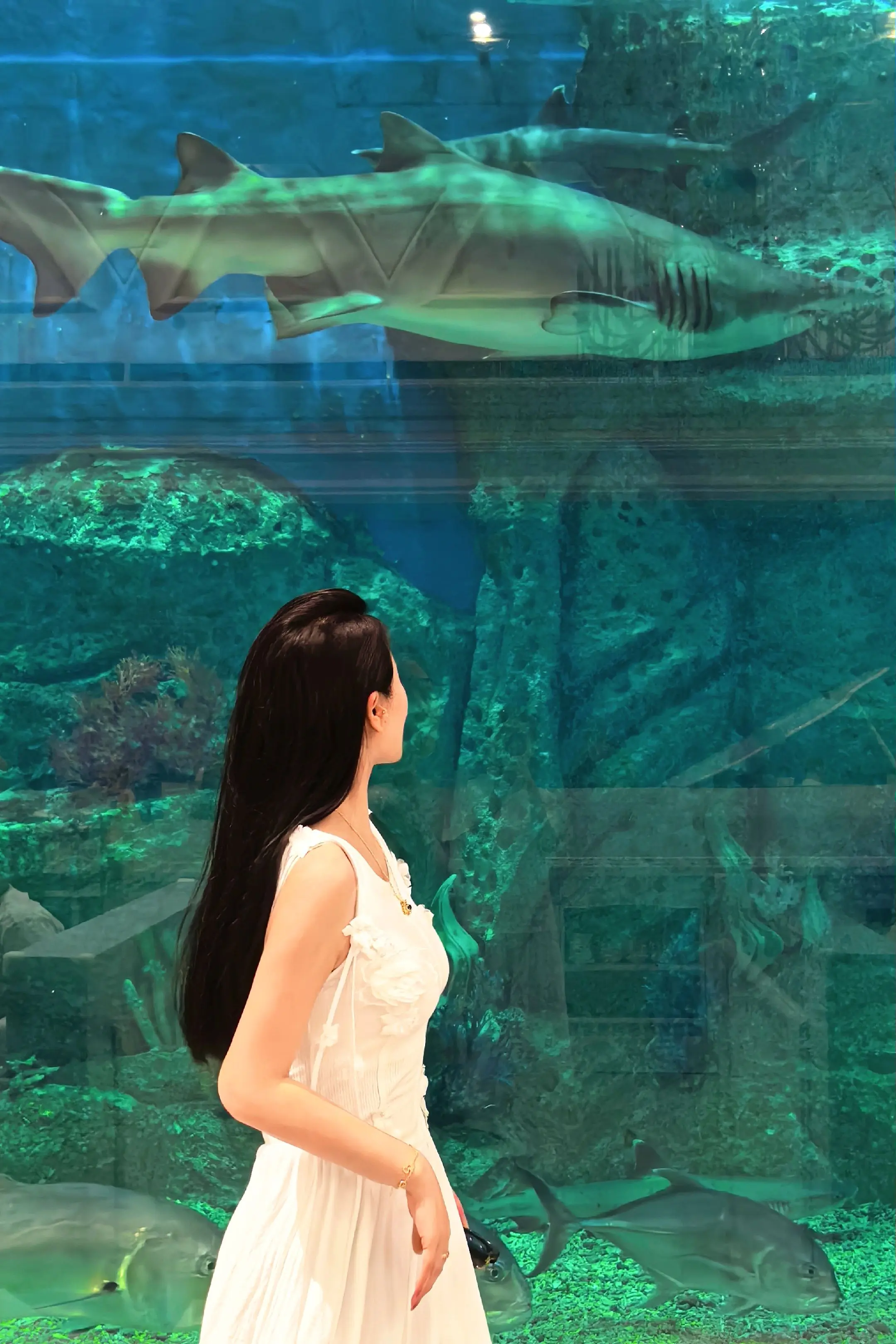 这趟旅行若算开心 亦是无负这一生