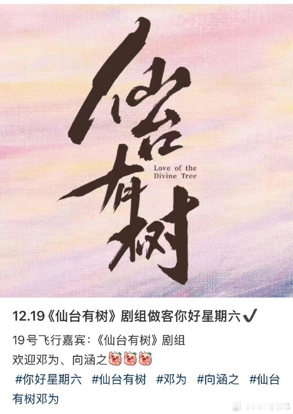 《仙台有树》快播了，邓为、向涵之12月19日录制《你好星期六》。 