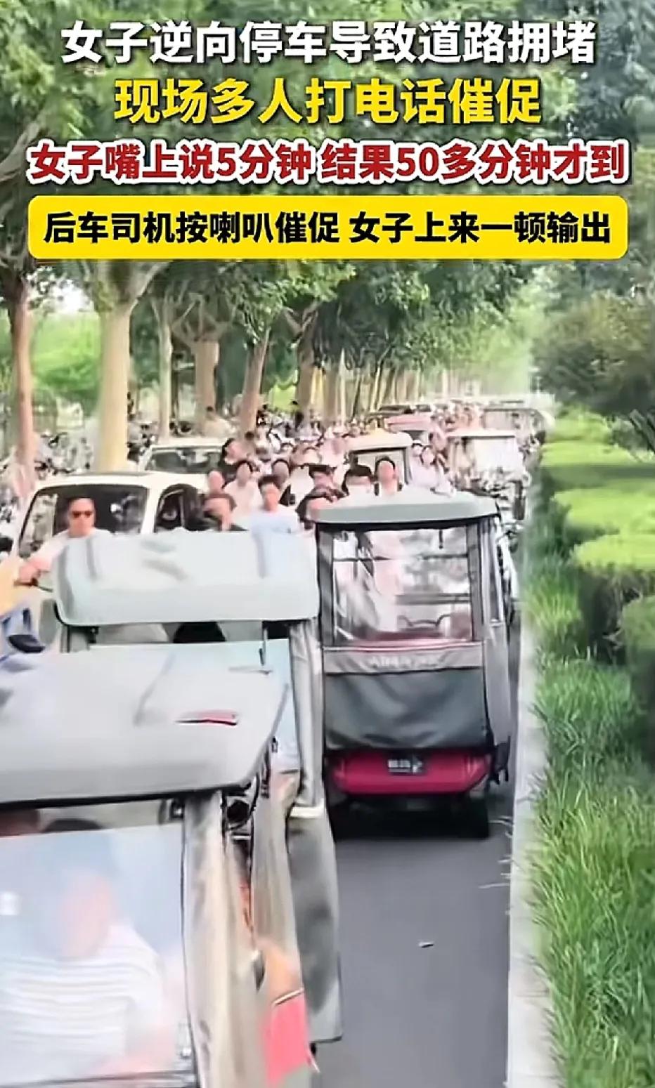 女子逆行将汽车停在路上，致使交通堵塞。第一辆车的司机不断拨打女子的电话，女子首次