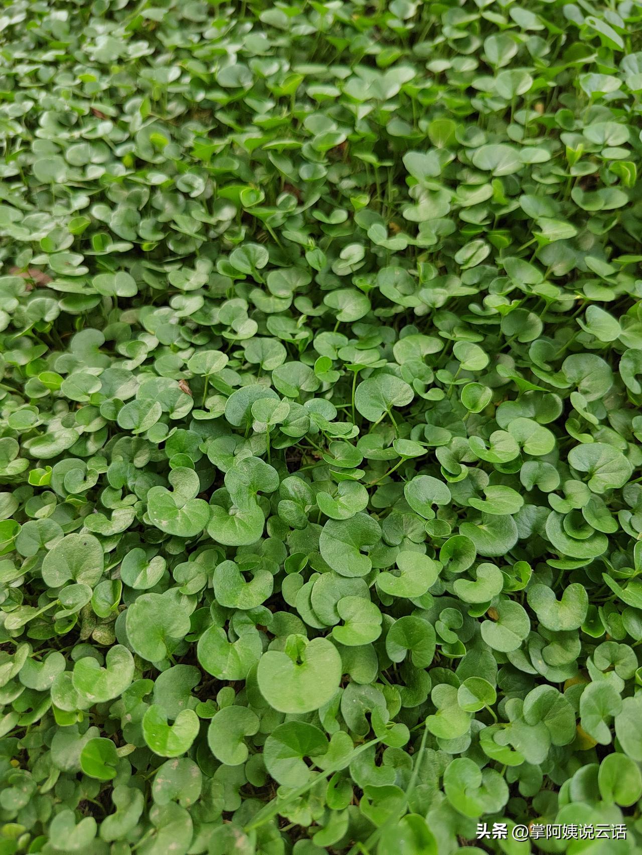 这个问题是来刺激我的吗？
退休金一个月1万7，有这么高的退休金吗？
算我孤陋寡闻