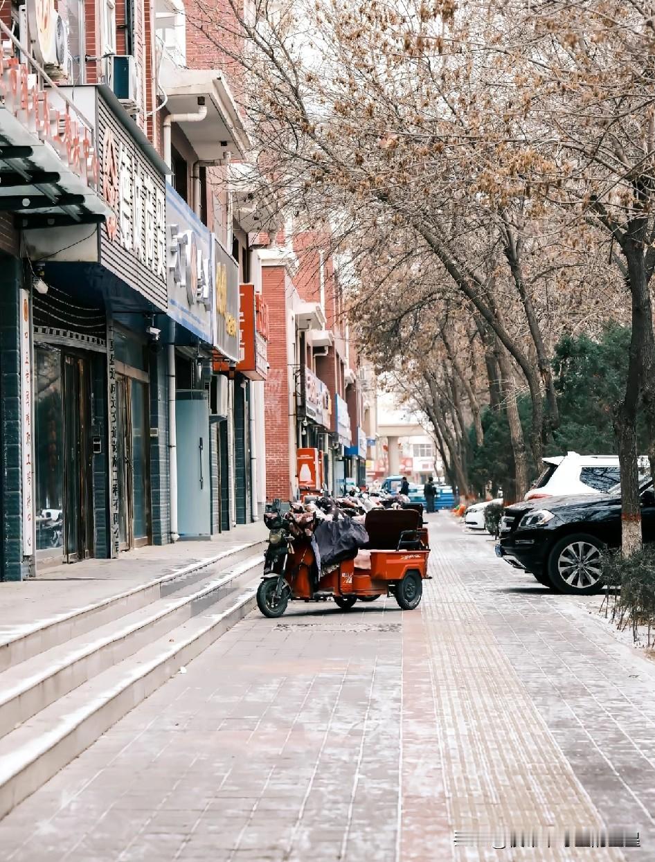 走在这条老街的路上，瞬间就被拉回小时候的日子！光秃秃的树枝伸着枝桠，街边的小店招