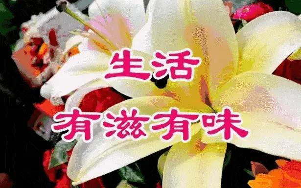 生活的美无处不在，只要追求，就能变为现实。