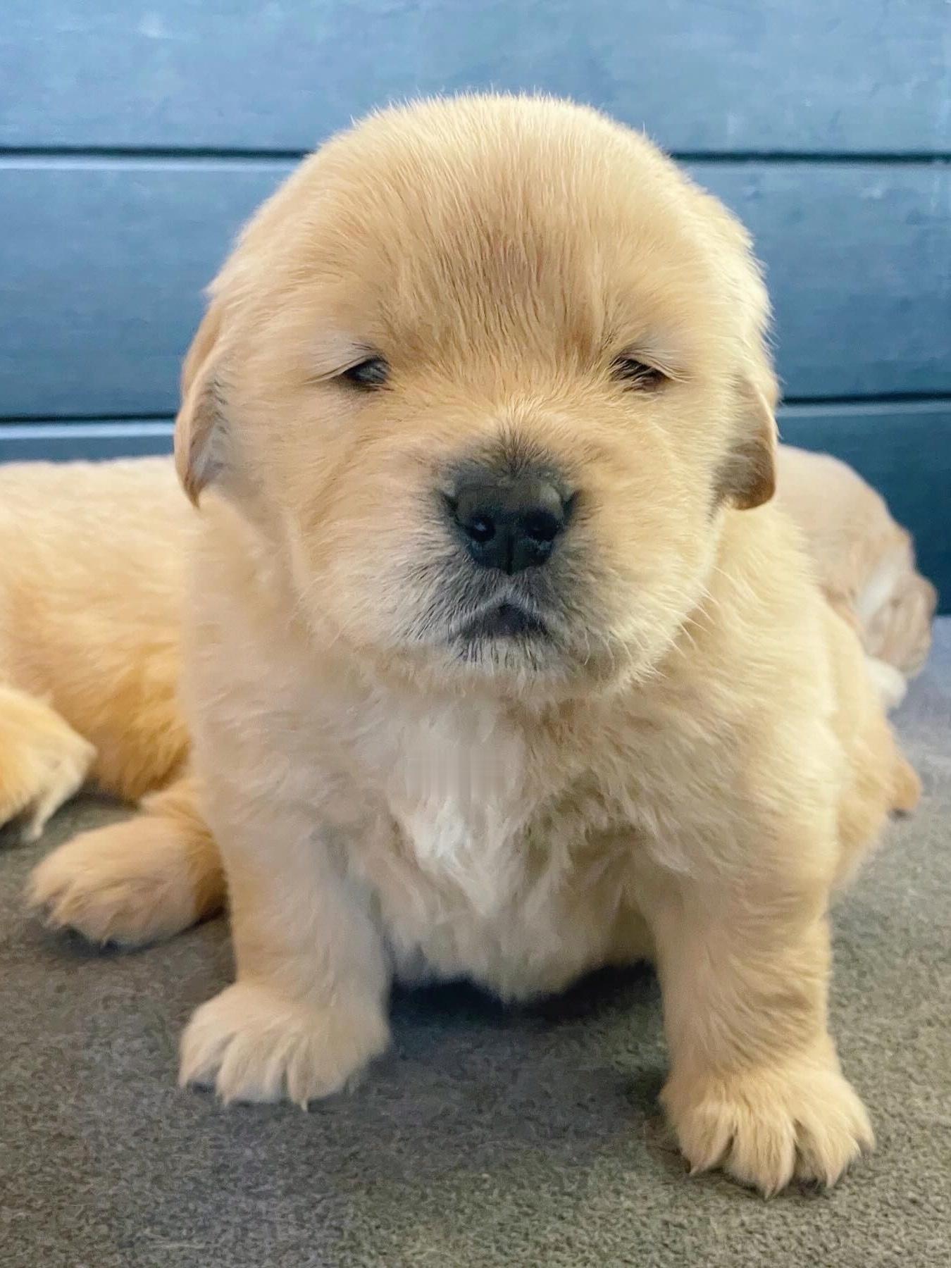 困了就早点睡吧，她今天应该不会回你的消息了 ​​​