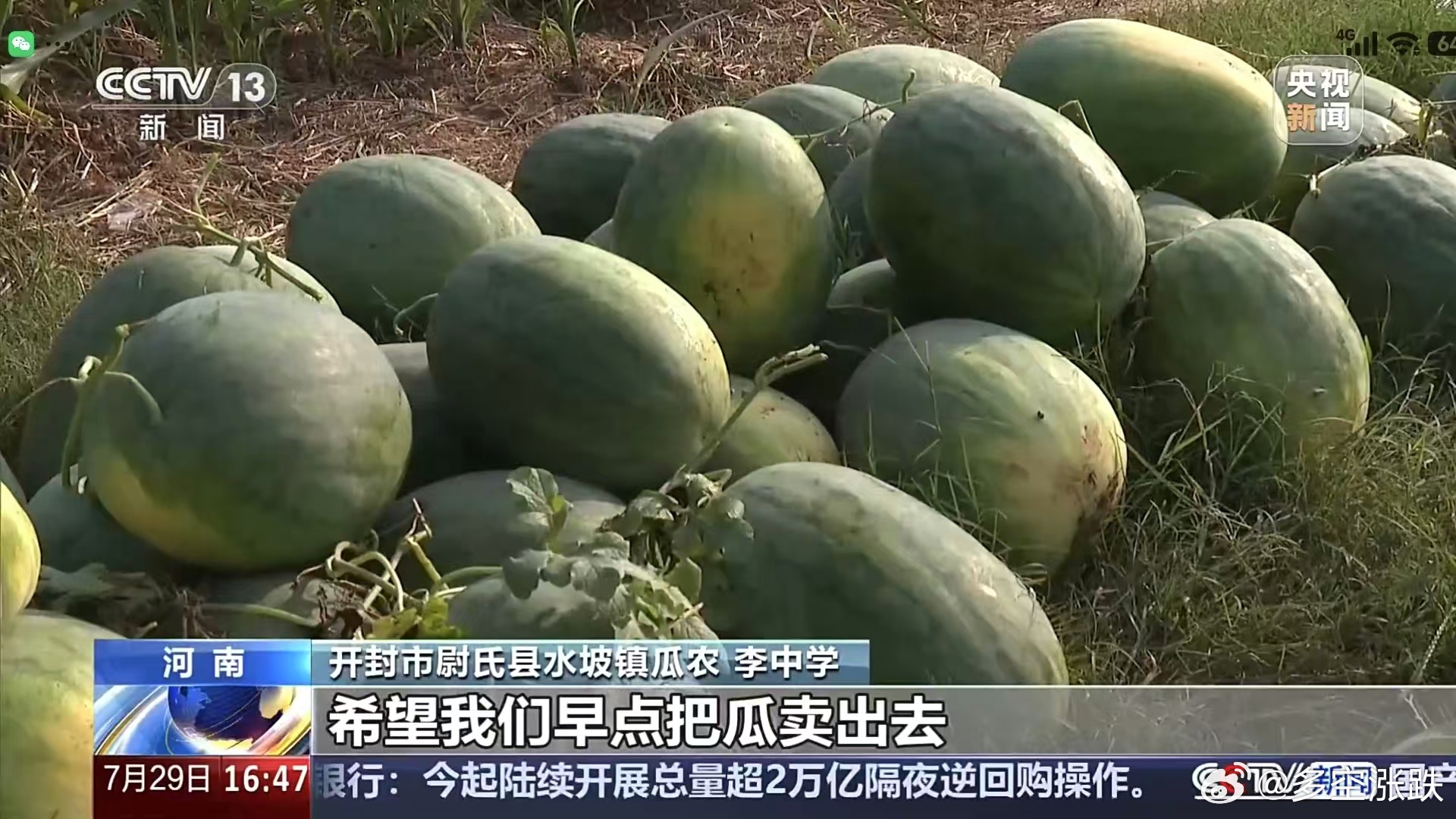今年的河南西瓜滞销一事，在多轮爱心接力下，真真切切让人看到了中国社会的温度。从开