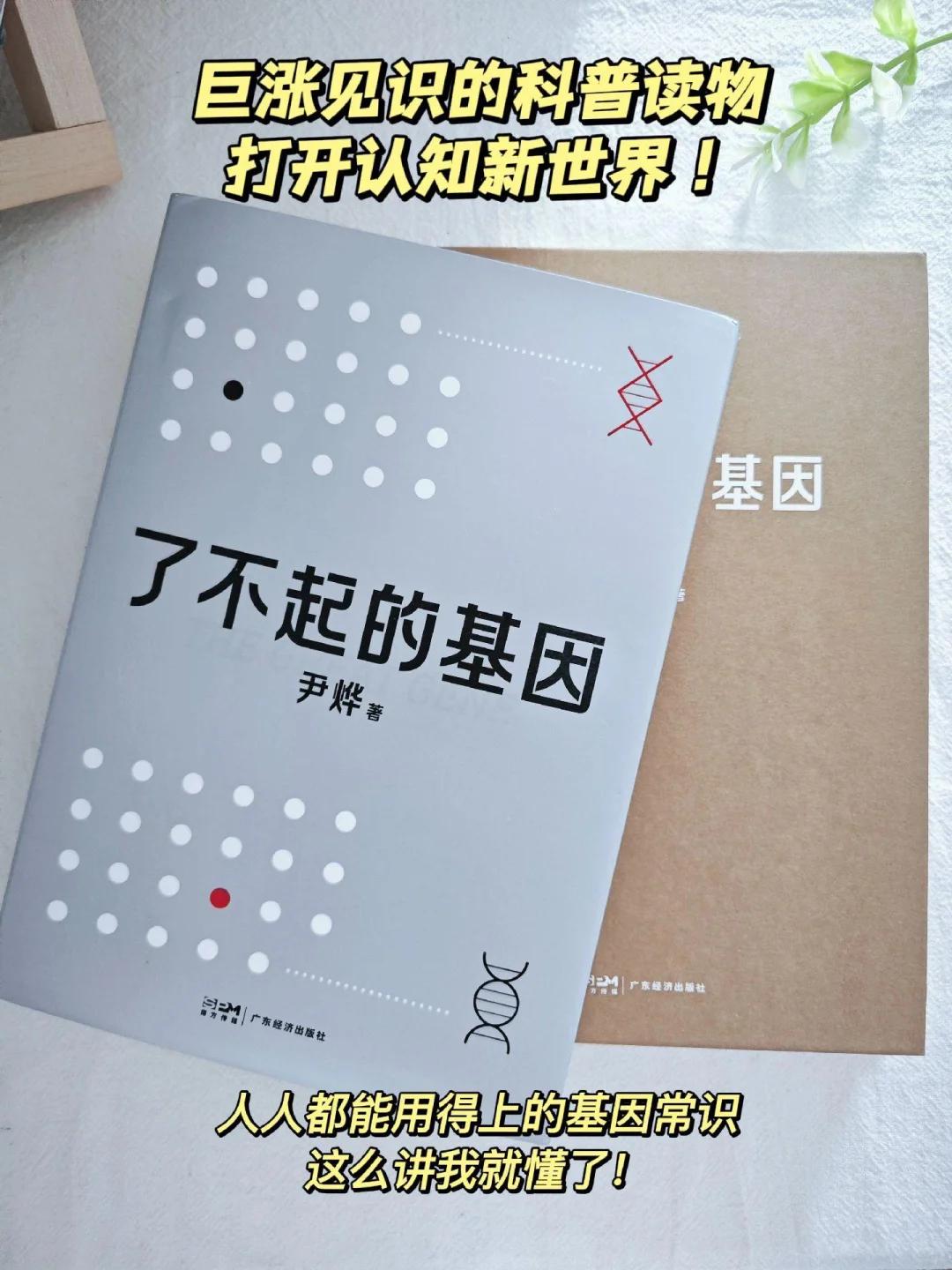 《了不起的基因》