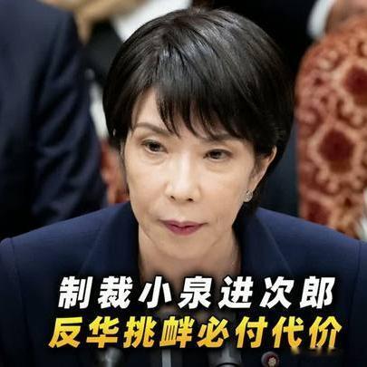 《制裁小泉进次郎！日本防相的反华挑衅必须付出代价》播放量：1.8万点赞量：618