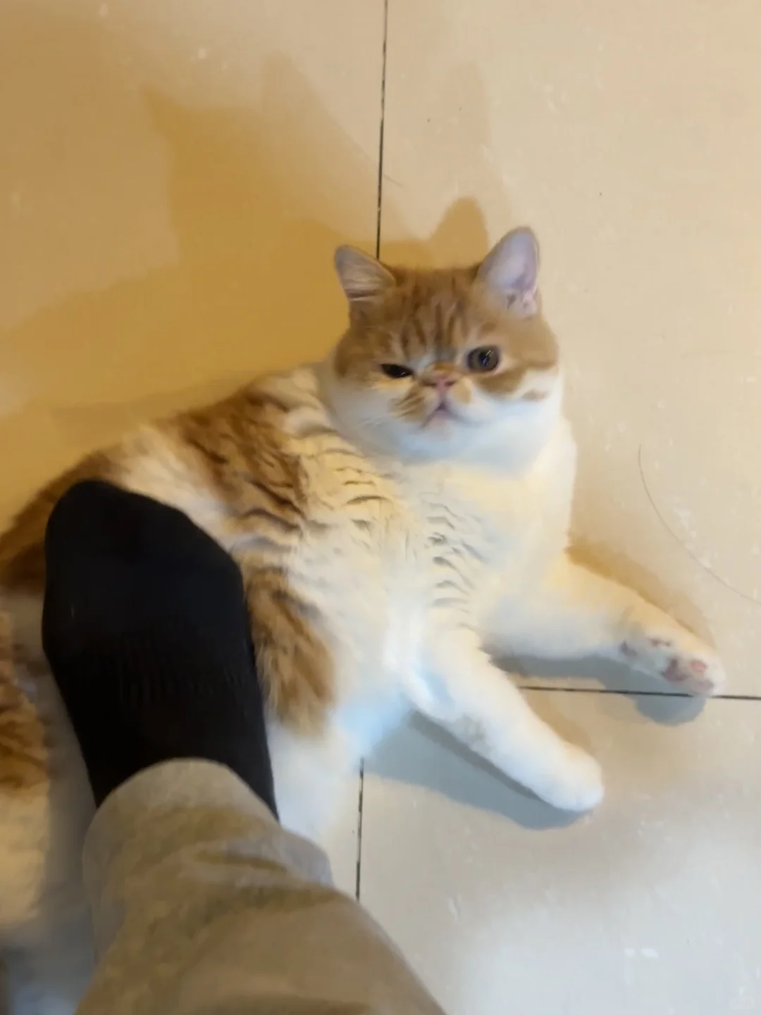 原来你 喜欢黑袜呀……