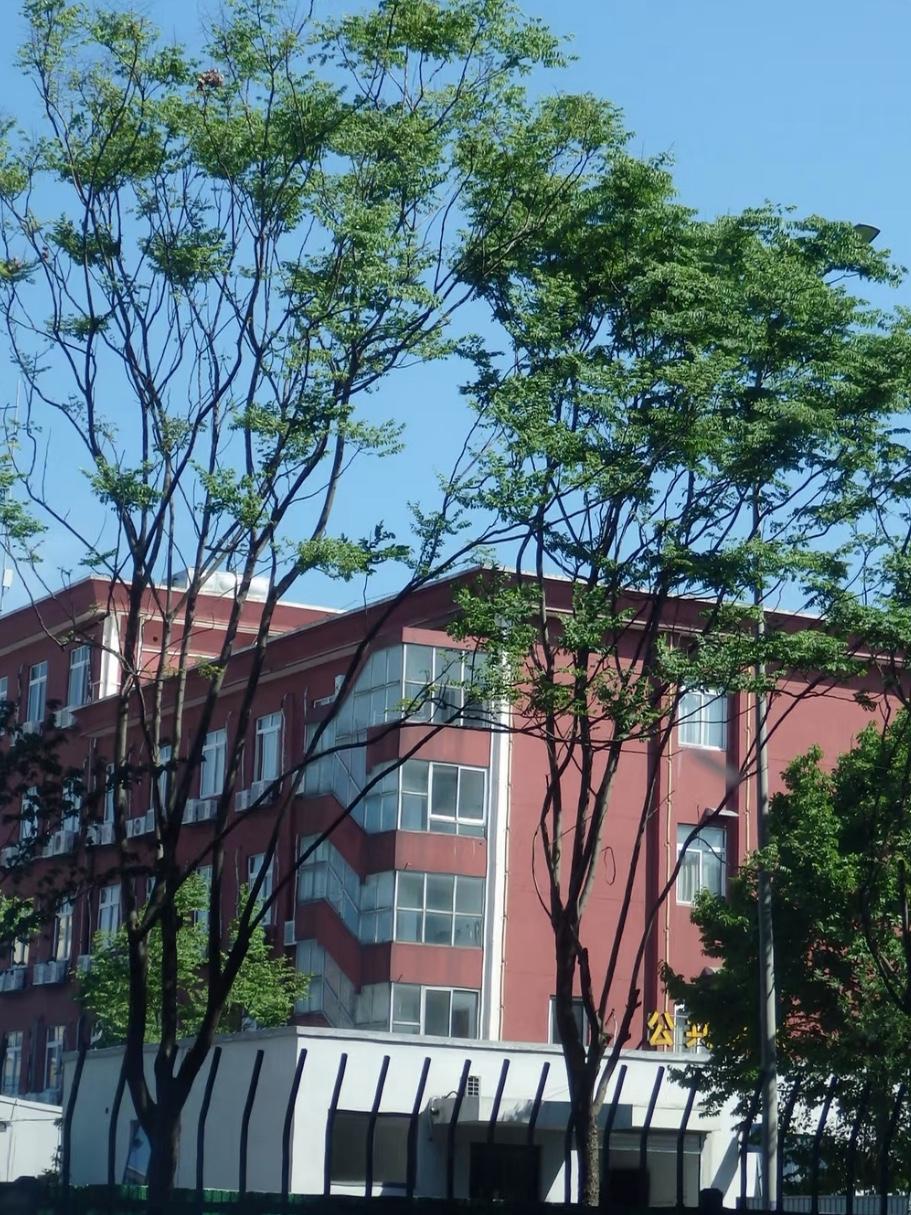 说实在的，

普通人尽量花点小钱取悦自己，

就可以避免花大钱去看医生，

因为