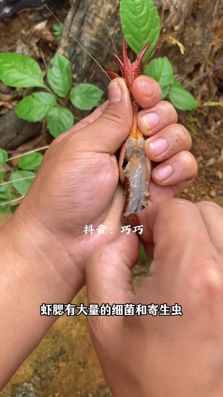 小龙虾处理方法。
巧巧。
小龙虾最干净的处理方法：
·第一步、拽出虾腮。虾腮有大