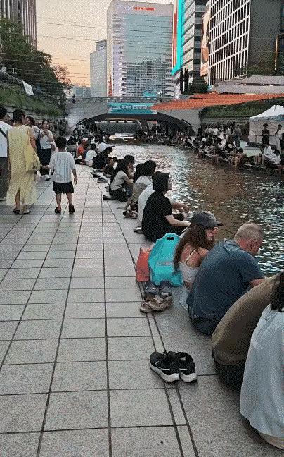 其实韩国的河边也没有围栏，大家可以光着脚在河边溜达，所以天津海河真的没必要围起来