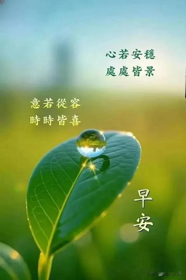 《卜算子·心安即景》

心定自安然，
满目风光好。
世事浮沉皆淡然，
步步皆清妙