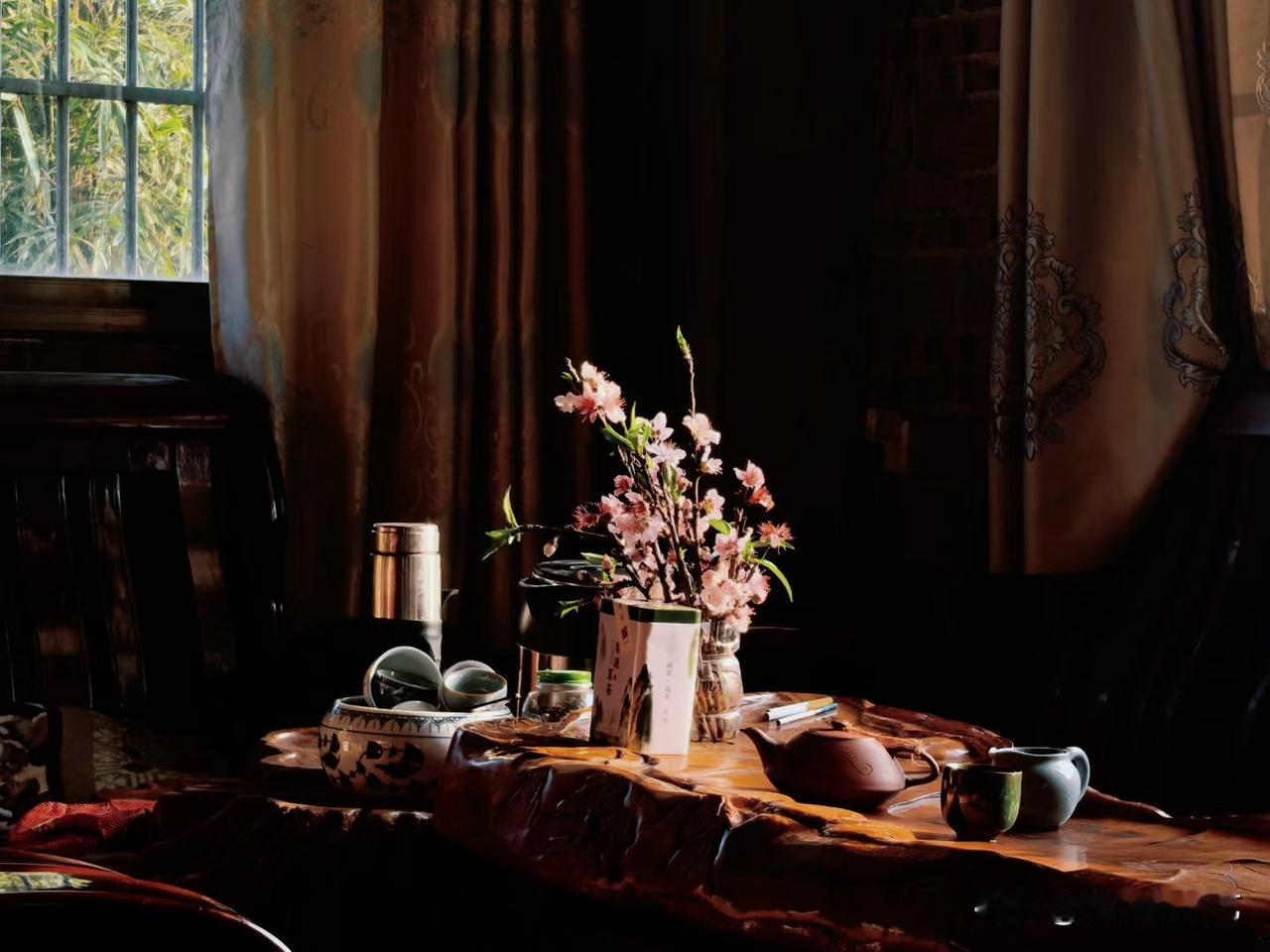 今年冬天的不同茶桌浸在暖光里，粉樱枝斜倚瓶中，陶壶与瓷杯裹着温软。帘外竹影轻晃，