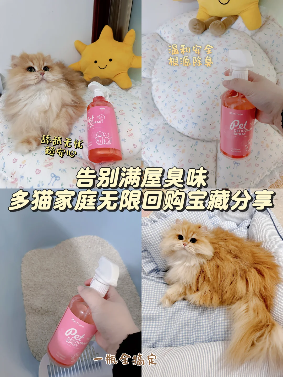 标题告别满屋臭味，多猫小户型除臭救星