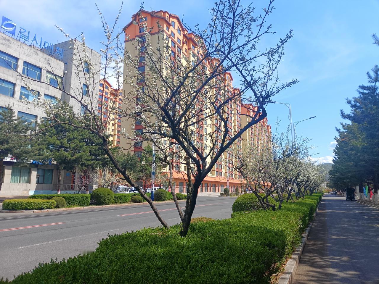 随手一拍，记录美好