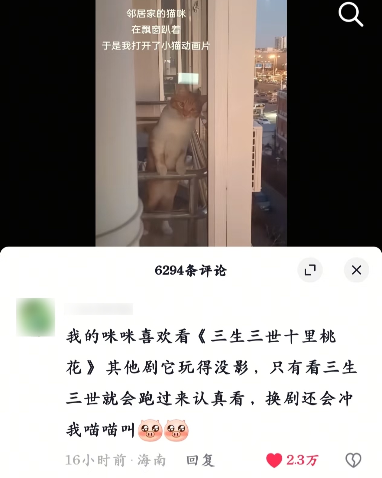 啊啊啊！好有品位的猫咪！三生三世十里桃花的受众群也太广了[憧憬] 