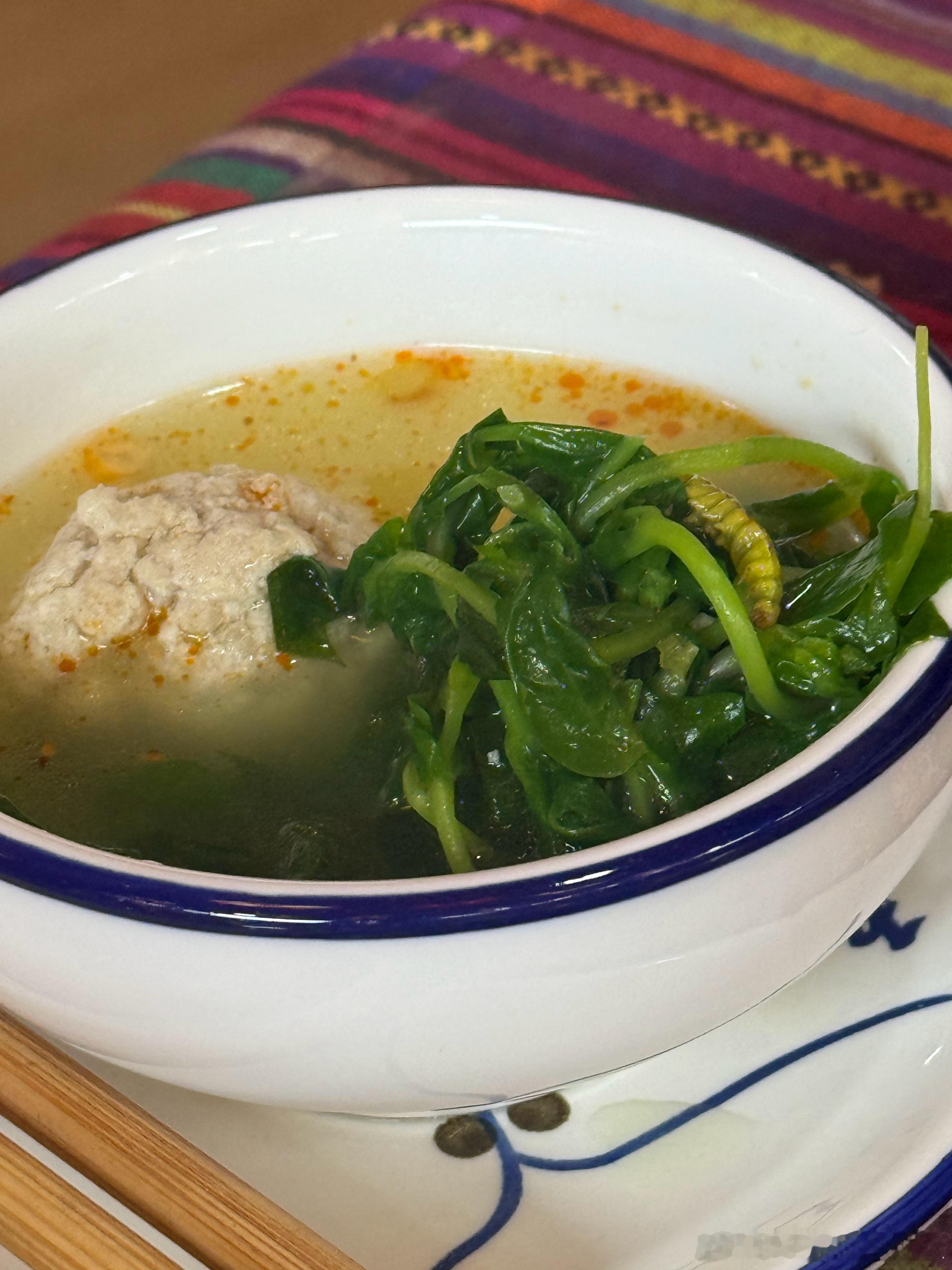 在昆明的一家特色饭店，野菜肉丸汤！野菜里面有鲜活蛋白质理论上来讲 证明野菜没打过