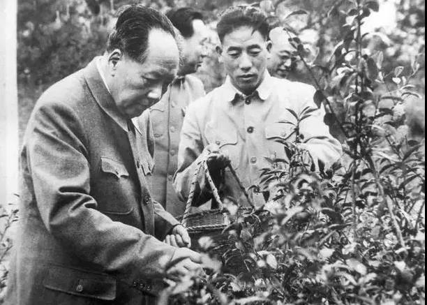 1961年，毛泽东来到杭州，在下榻的刘庄一号楼里转了一圈，突然脸色铁青，目光吓人