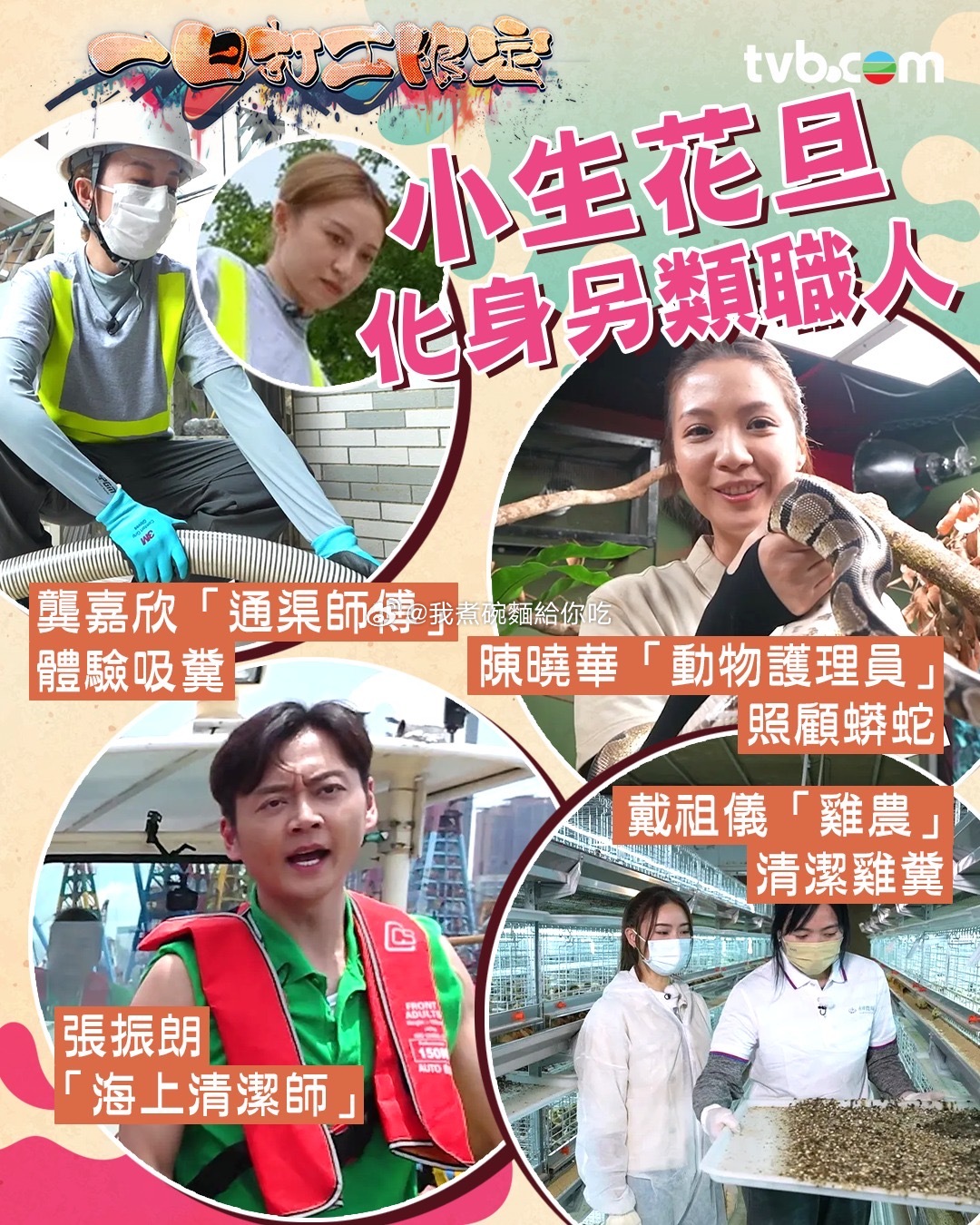 TVB新综艺《一日打工限定》TVB即将推出全新综艺节目《一日打工限定》，集合视帝