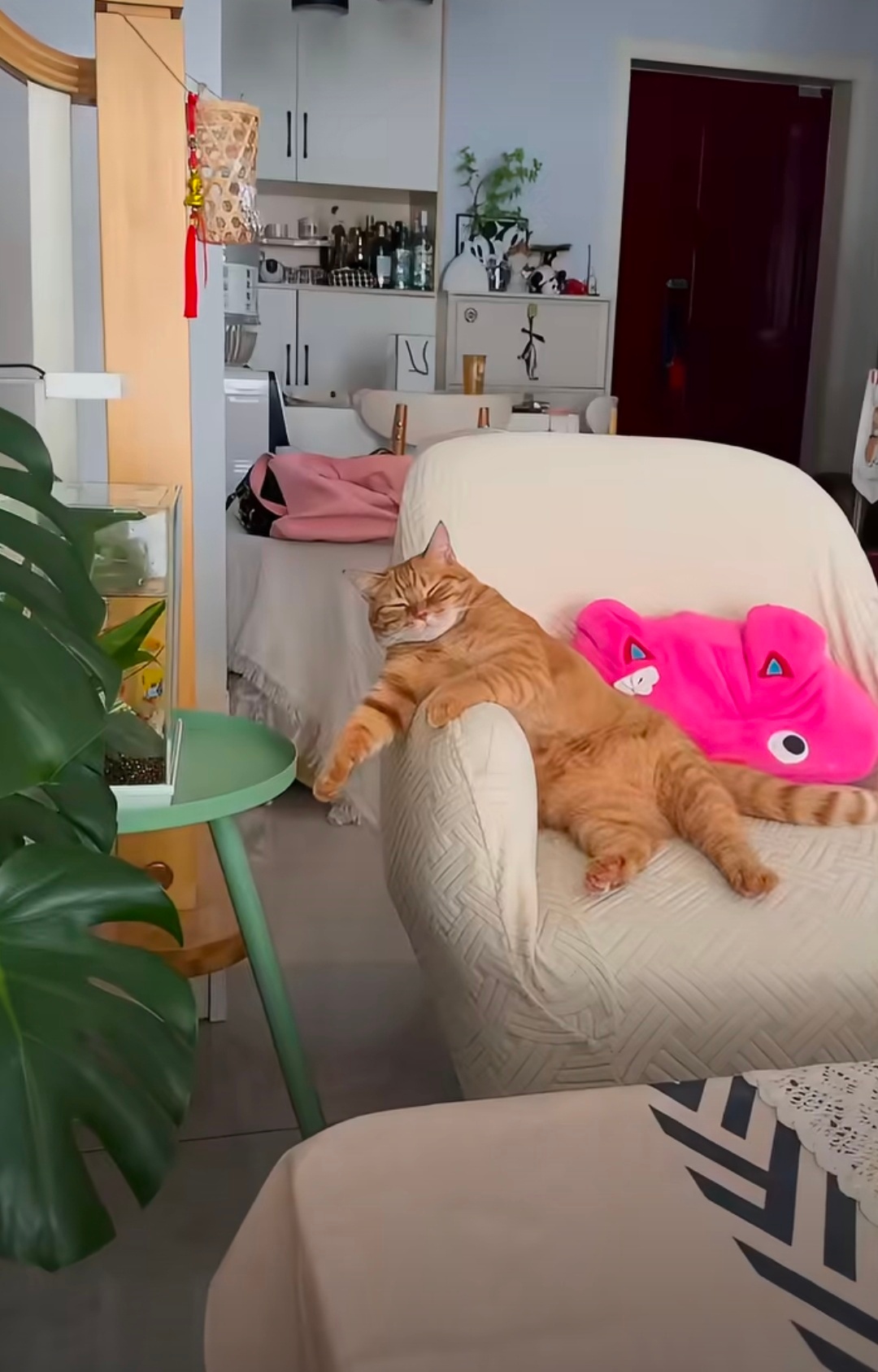 这猫像极了在沙发上的爸爸这只橘猫往沙发上一瘫，活脱脱就是周末瘫在沙发上的老爸。前