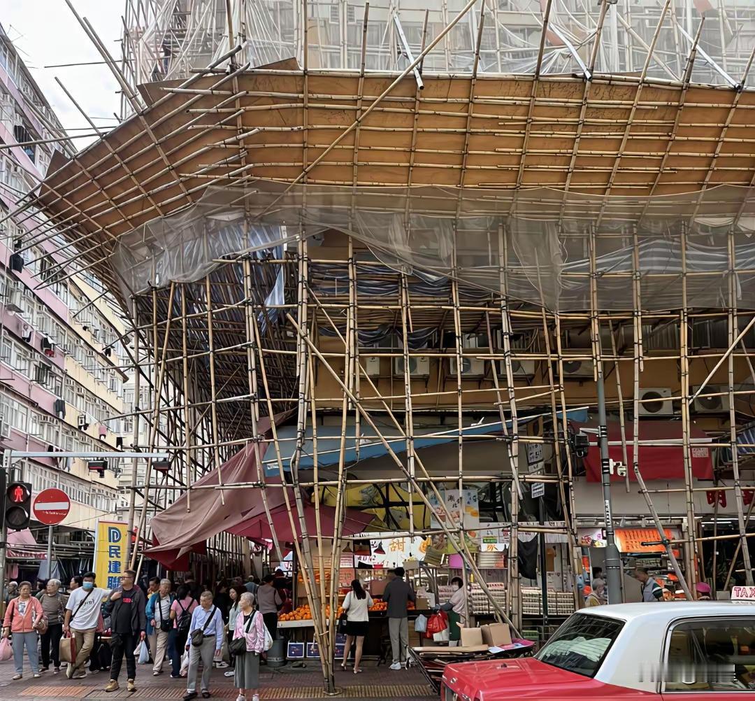 因为西方殖民过所以竹竿子先进环保[捂脸]