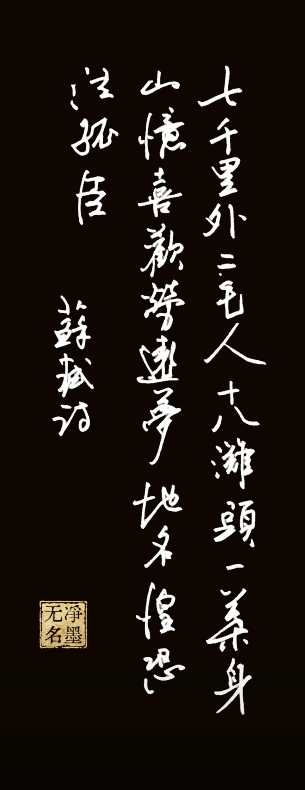 此作为硬笔行书，字势连绵流畅，黑白对比强烈；用笔轻重起伏贴合诗句沉郁情绪，竖幅三