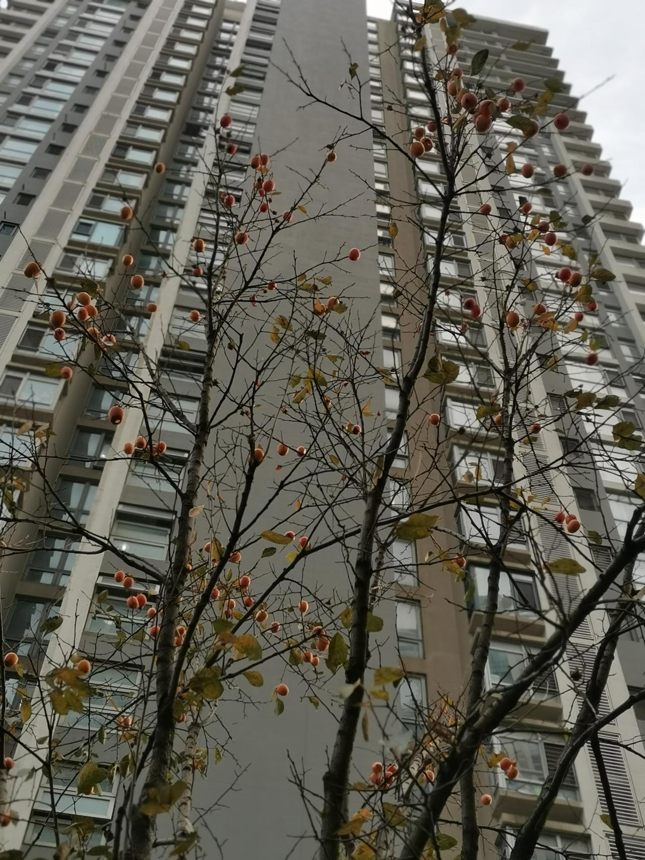 大部分人不适合炒股
今天看到人大金融大咖吴教授说，在如此好的行情下，都不赚钱的人
