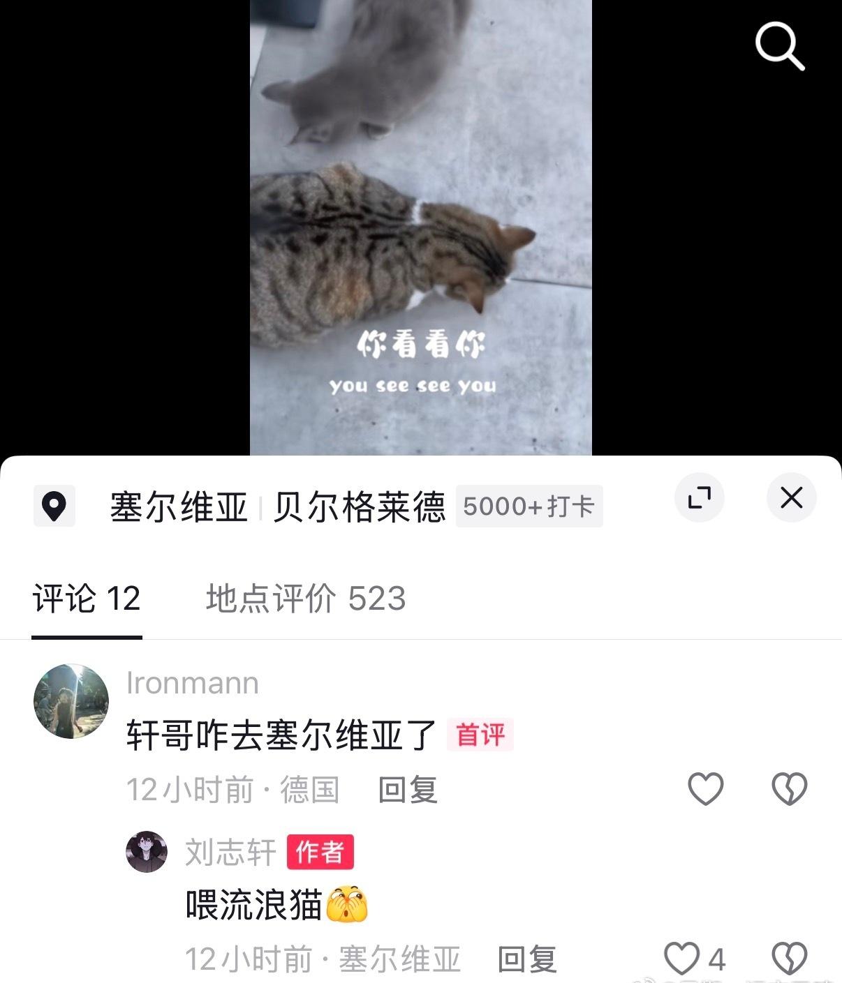 轩哥说了：塞尔维亚的流浪猫需要我。
辽宁男篮 ​​​