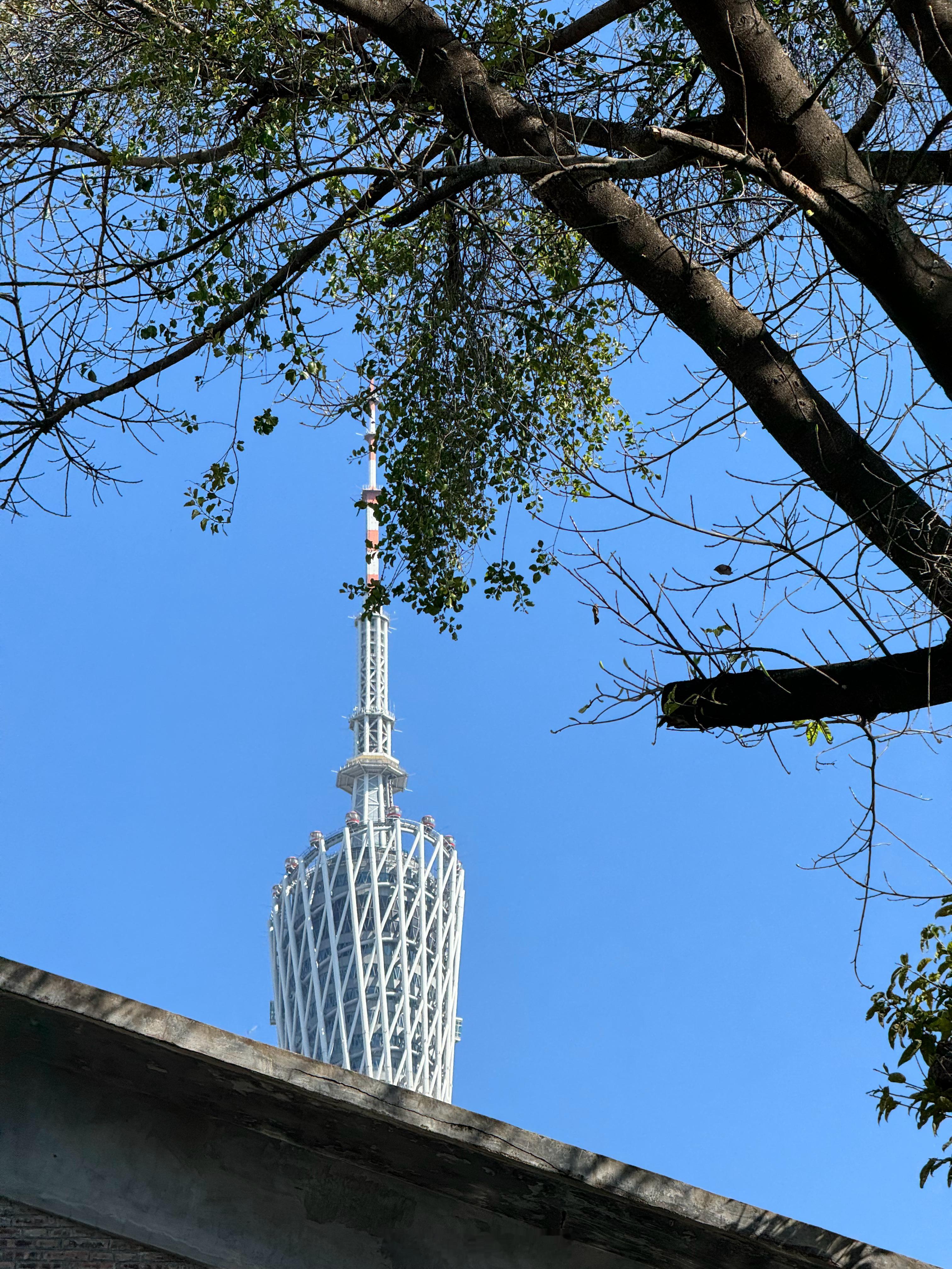 今天天气真好啊  ​​​