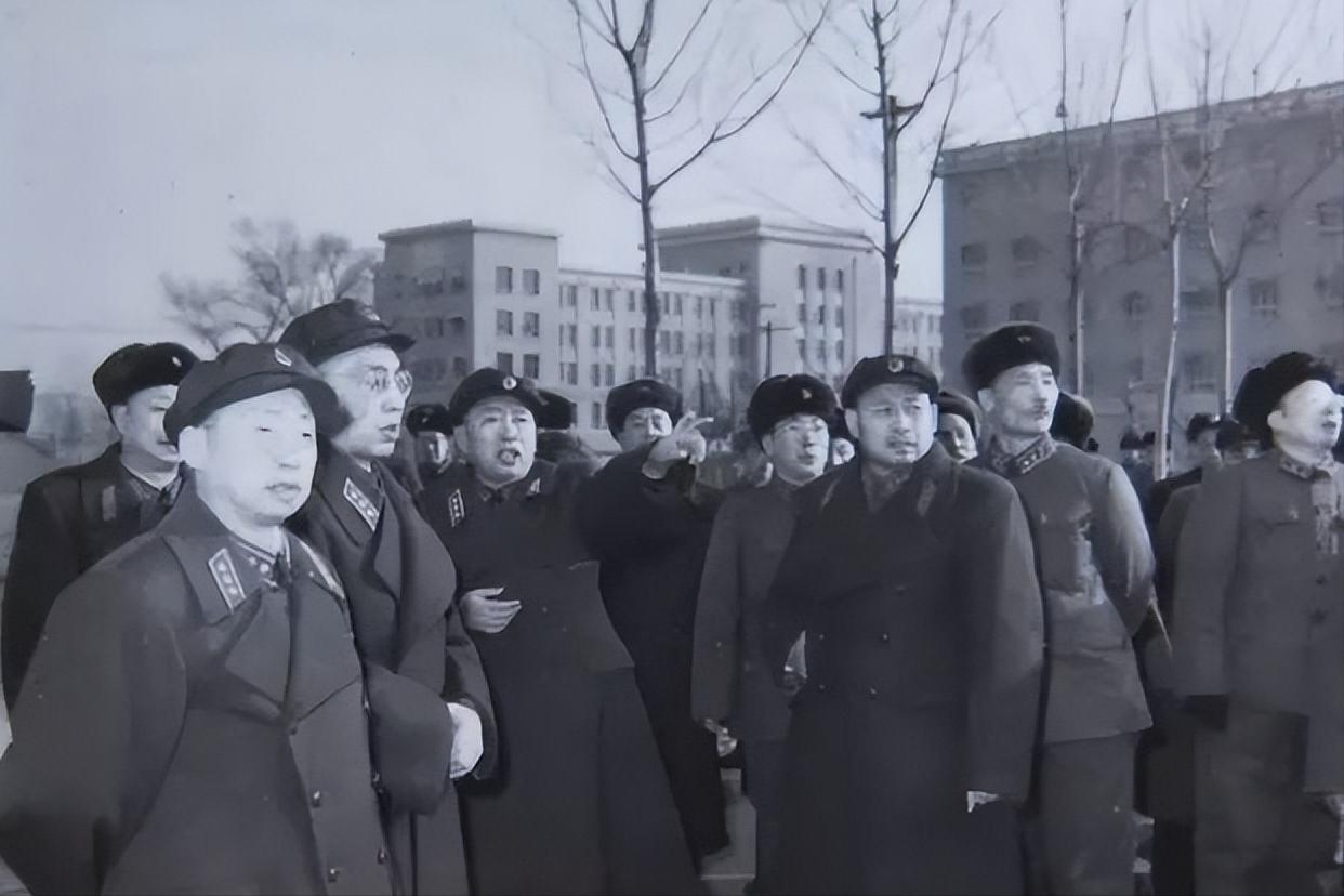 据刘亚楼女儿刘煜鸿回忆，当年刘亚楼亲自为空军大院挑选绿化树种，最终选定银杏树。他