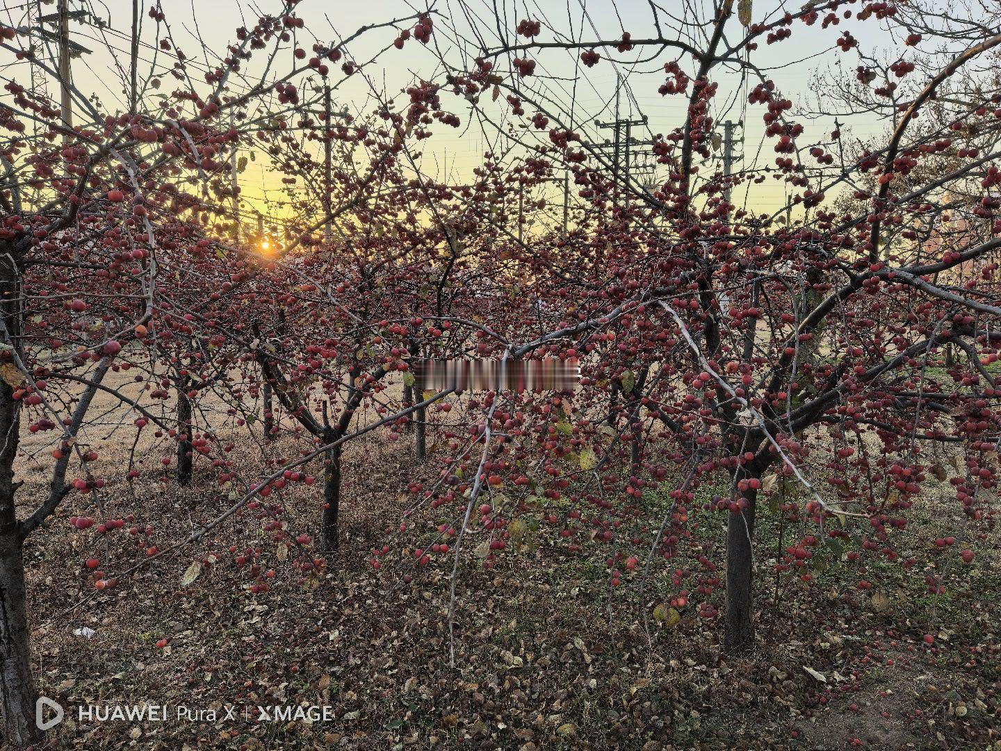 《老老恒言》云：“食物有三化，一火化，烂煮也；一口化，细嚼也；一腹化，入胃自化也