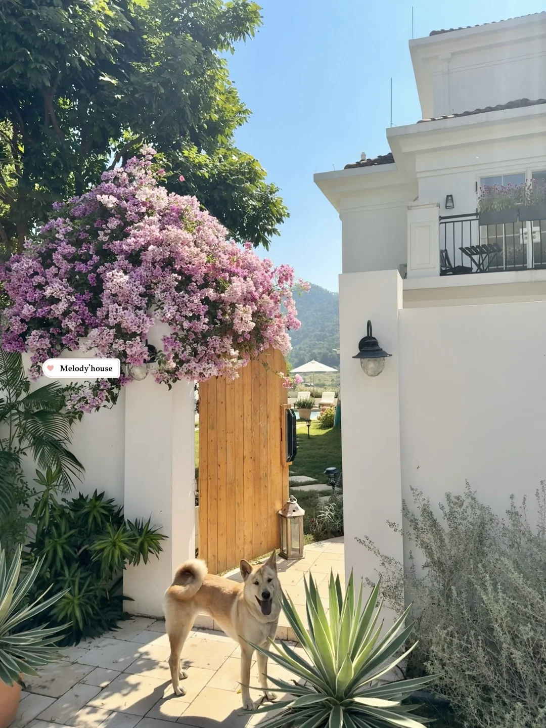 讲真！搬来郊区两年，再也回不去市区了🥶