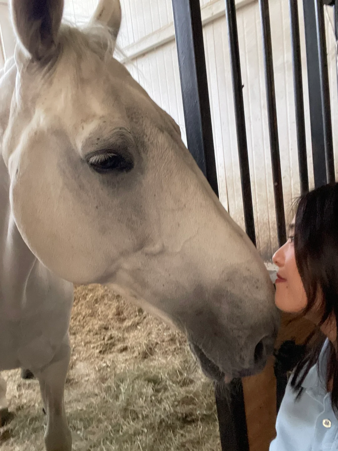 小马是世界的解药