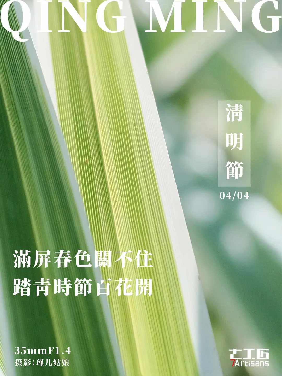 我不断翻阅旧相片，思念在枝头发出了新芽。这也是不停记录的意义之一