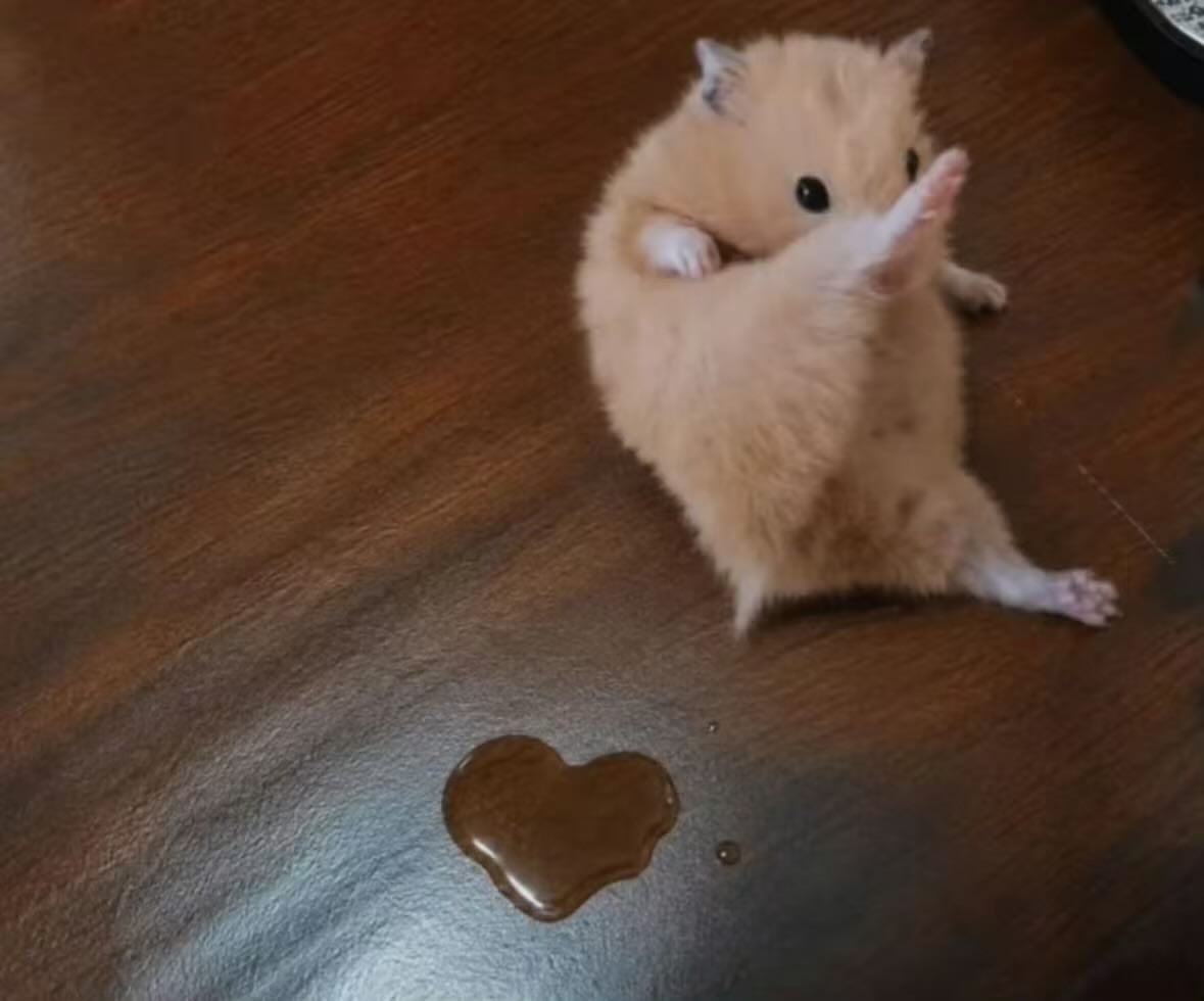 ♡meme