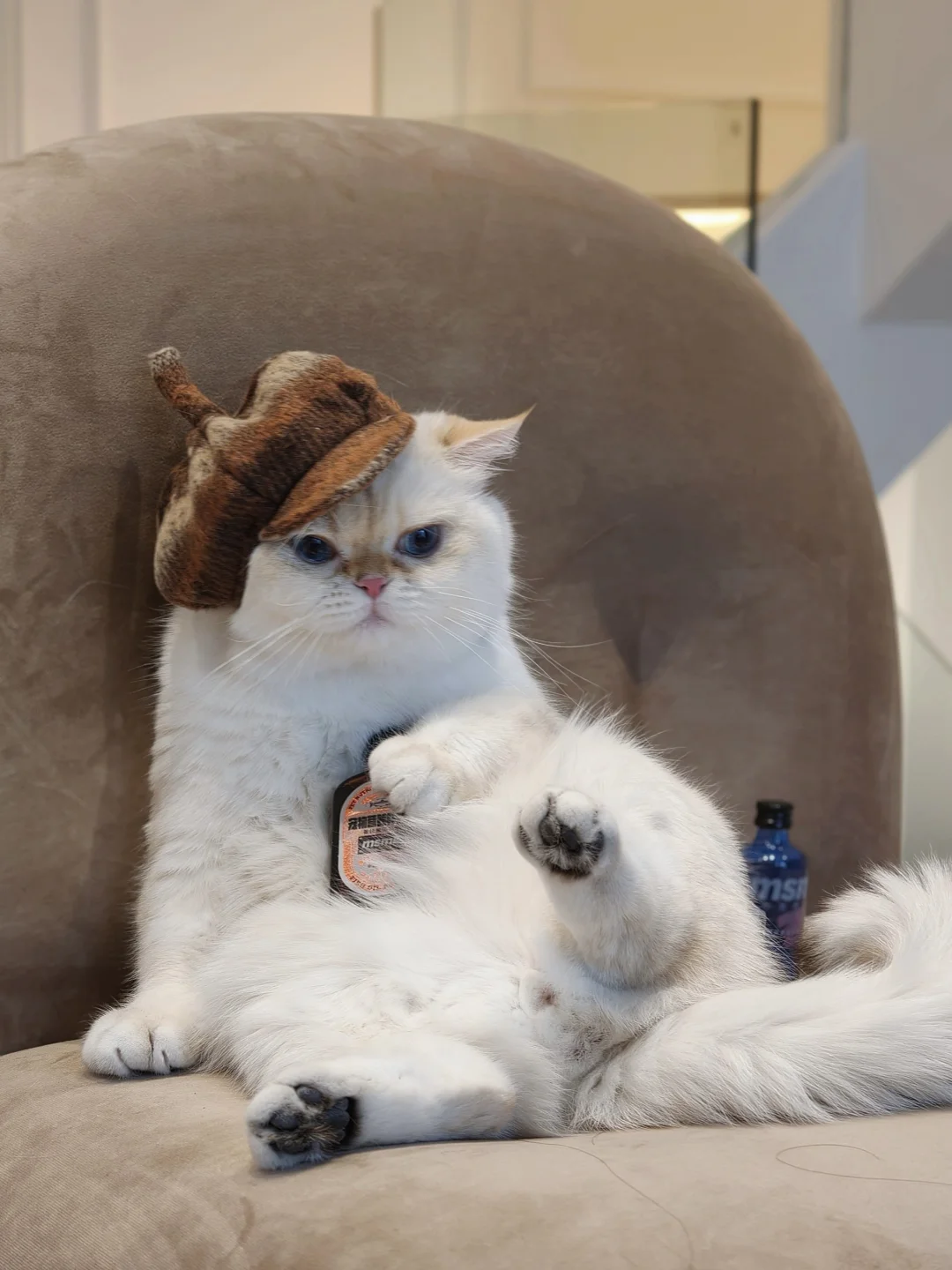 一天啥也没干，为我的懒惰自罚一杯🥃