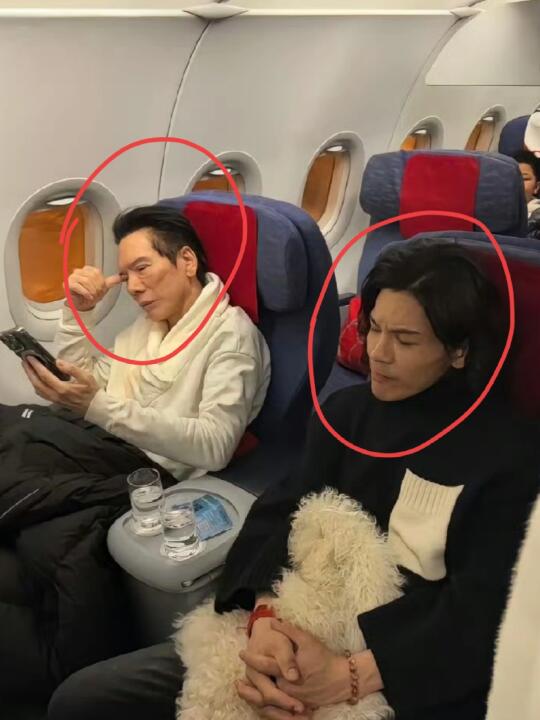 网友飞机上偶遇向佐一家，豪门也很低调