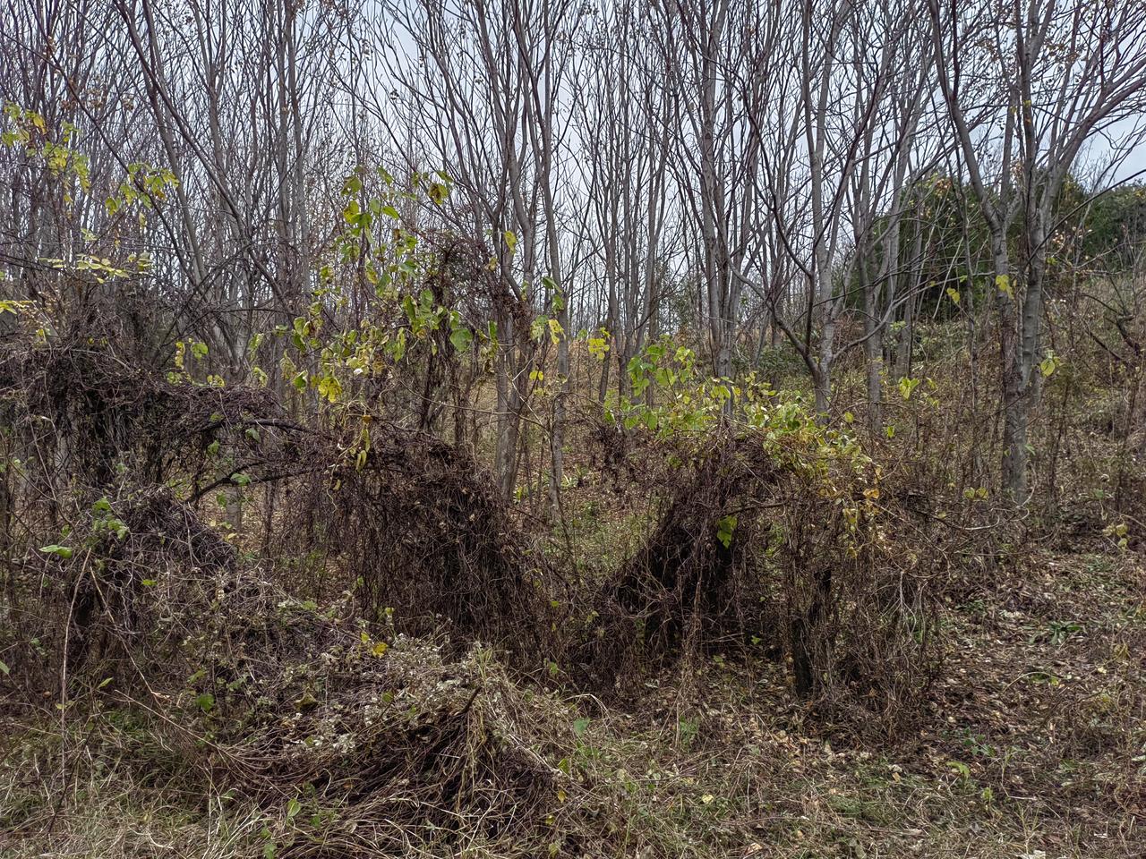 美国打伊拉克是转折点，赔但还有冤大头顶着，从那以后开始被“割肉”了。
打阿富汗不