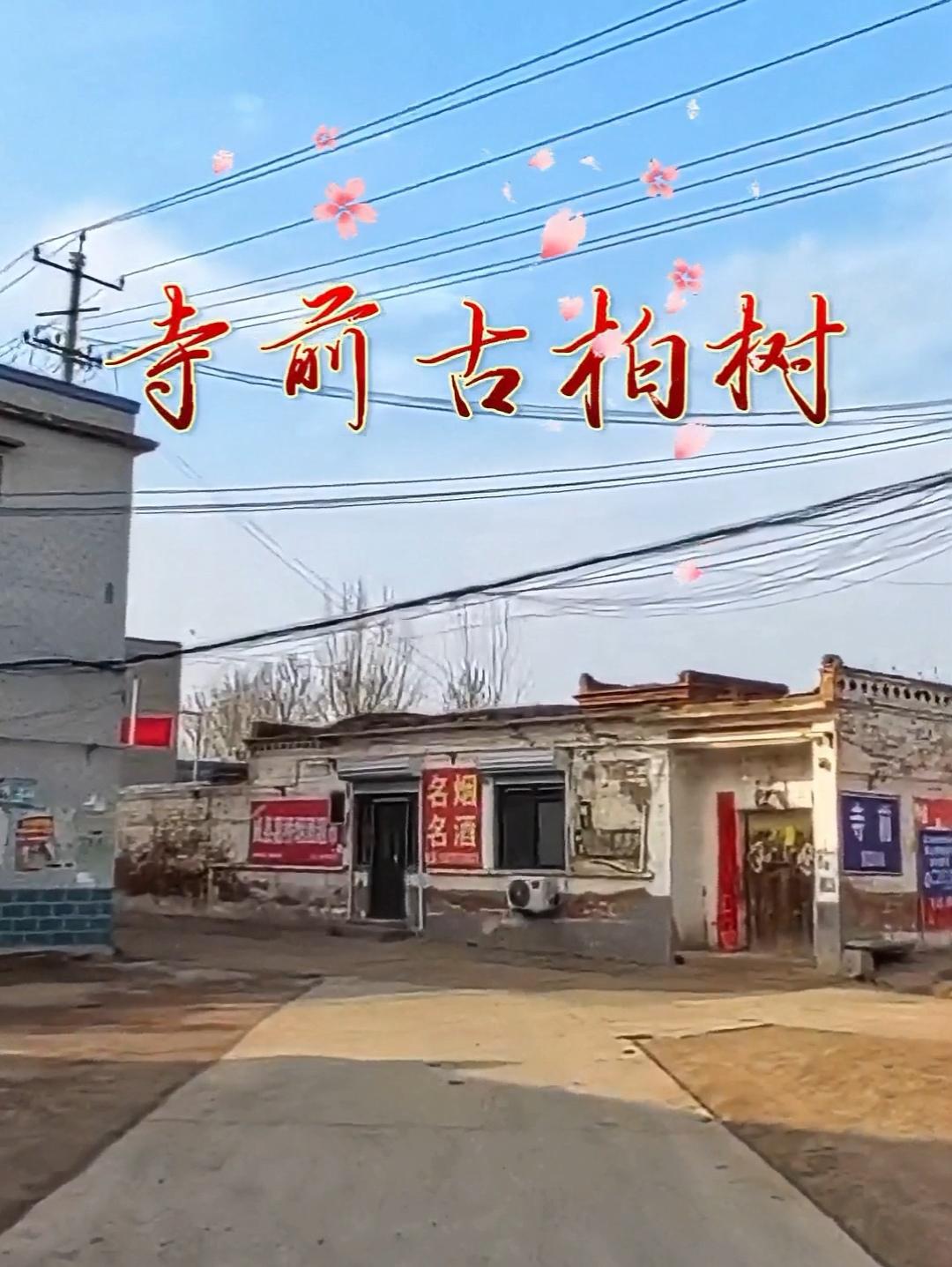 威县寺前村西有二古柏，其南为张氏祖茔。碑载：张氏先世有元、亨、利、贞兄弟四人，长